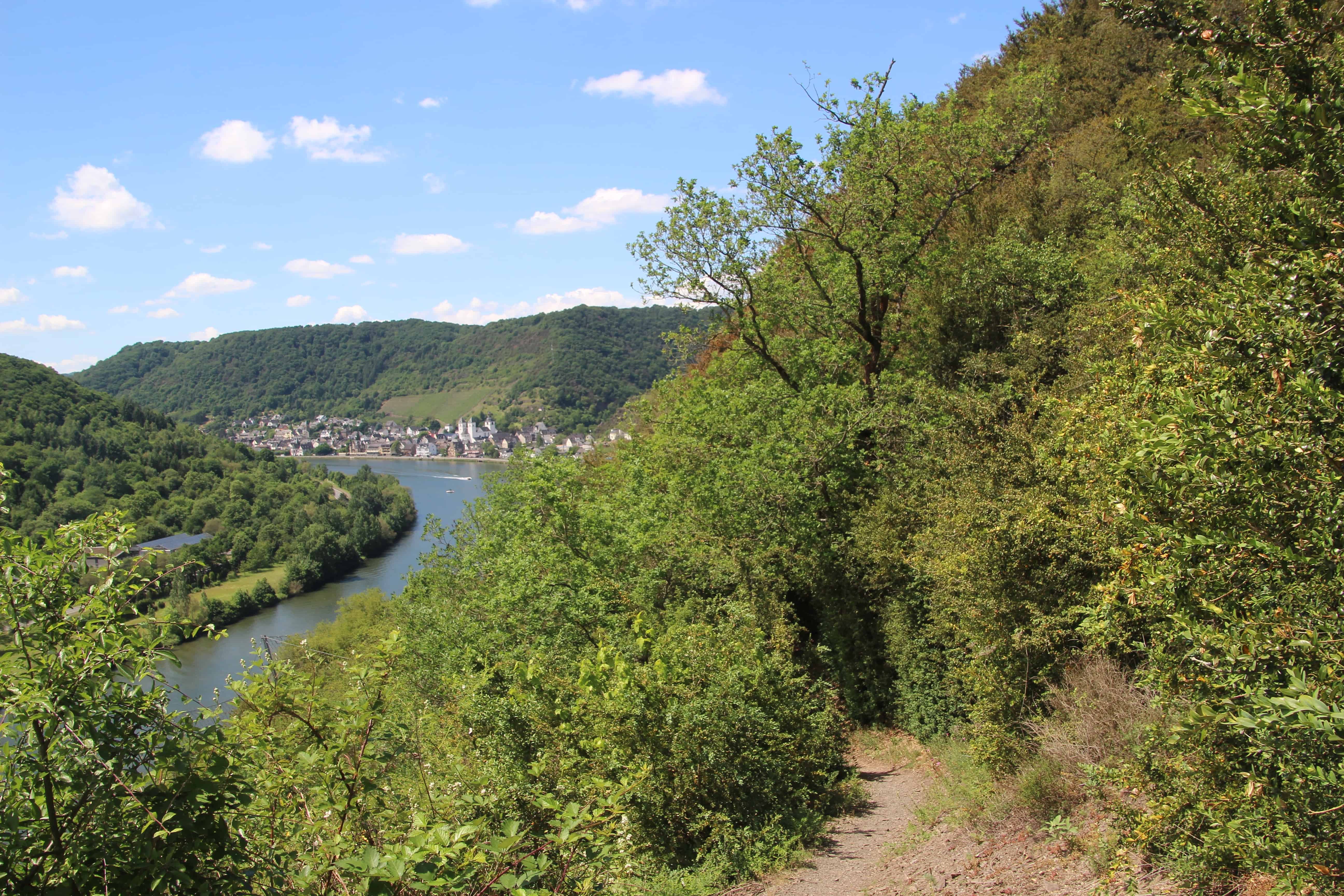 Traumhafter Buchsbaumwanderweg an der Mosel