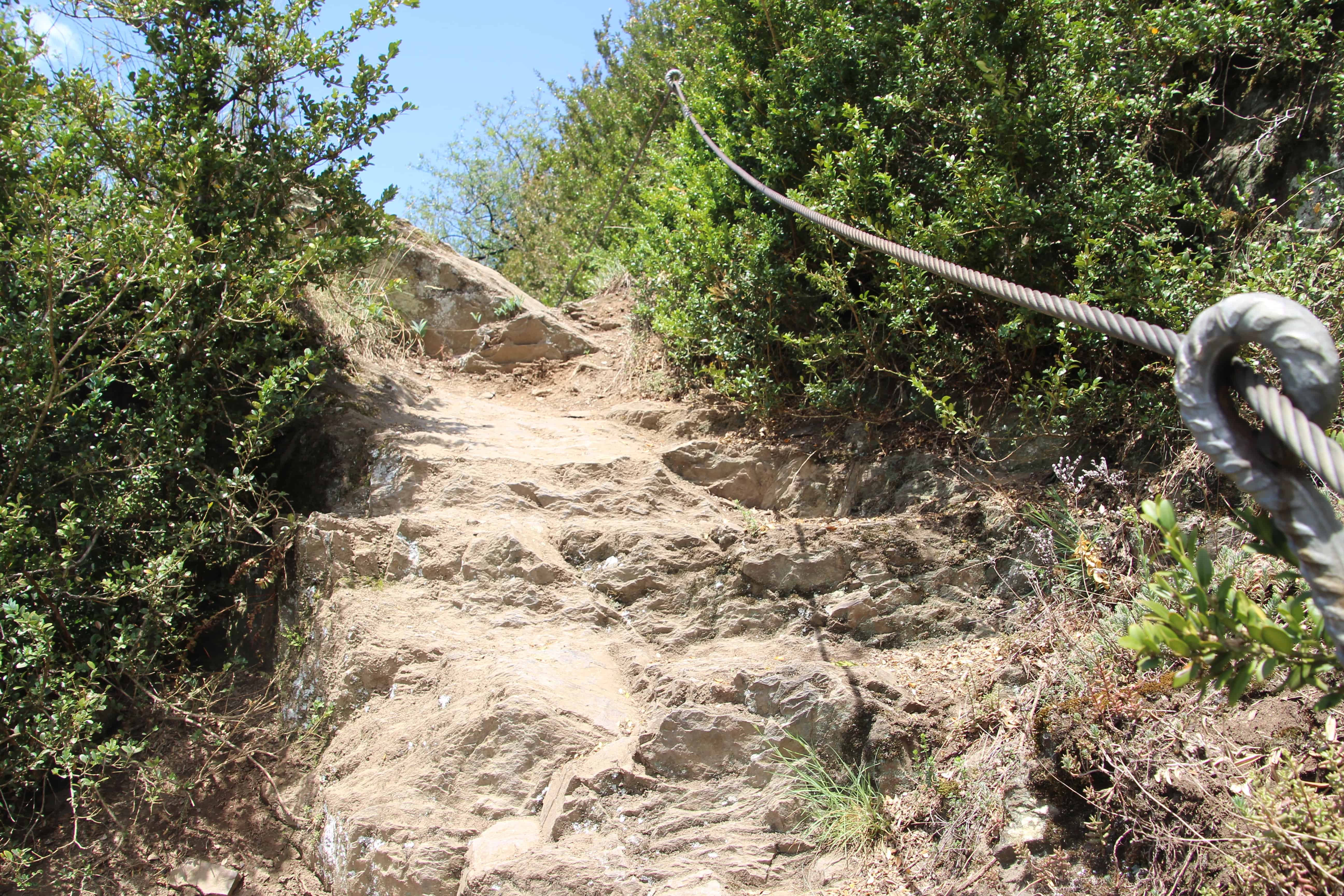 Buchsbaumwanderweg mit Seilen gesichert