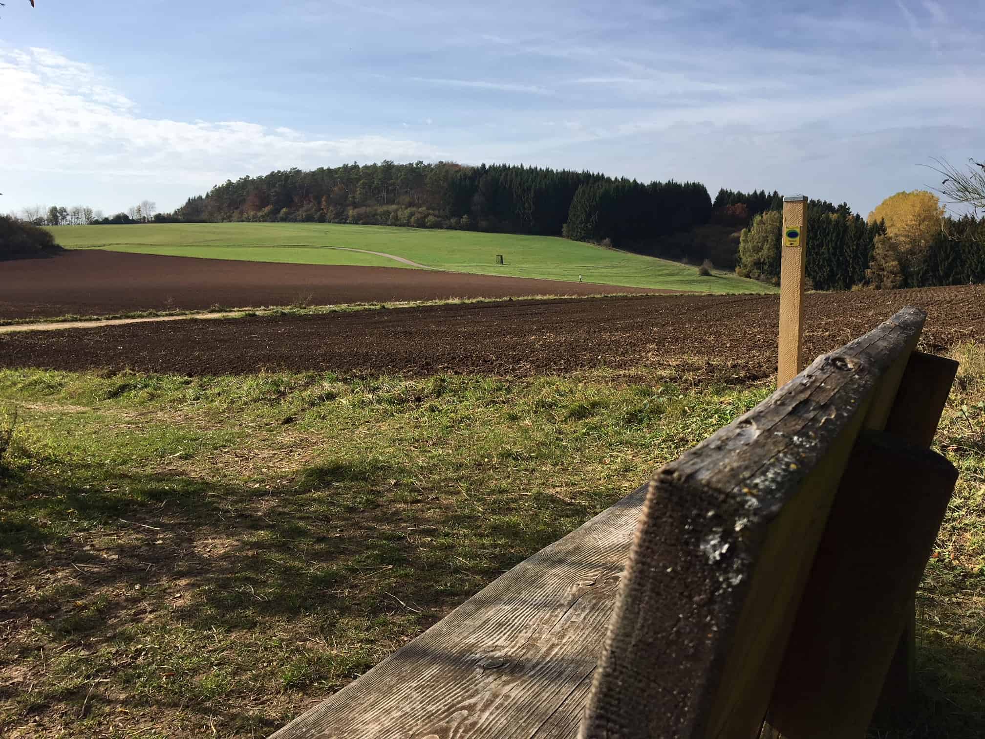 Felder, Wiesen, Wälder auf dem Gerolsteiner Felsenpfad