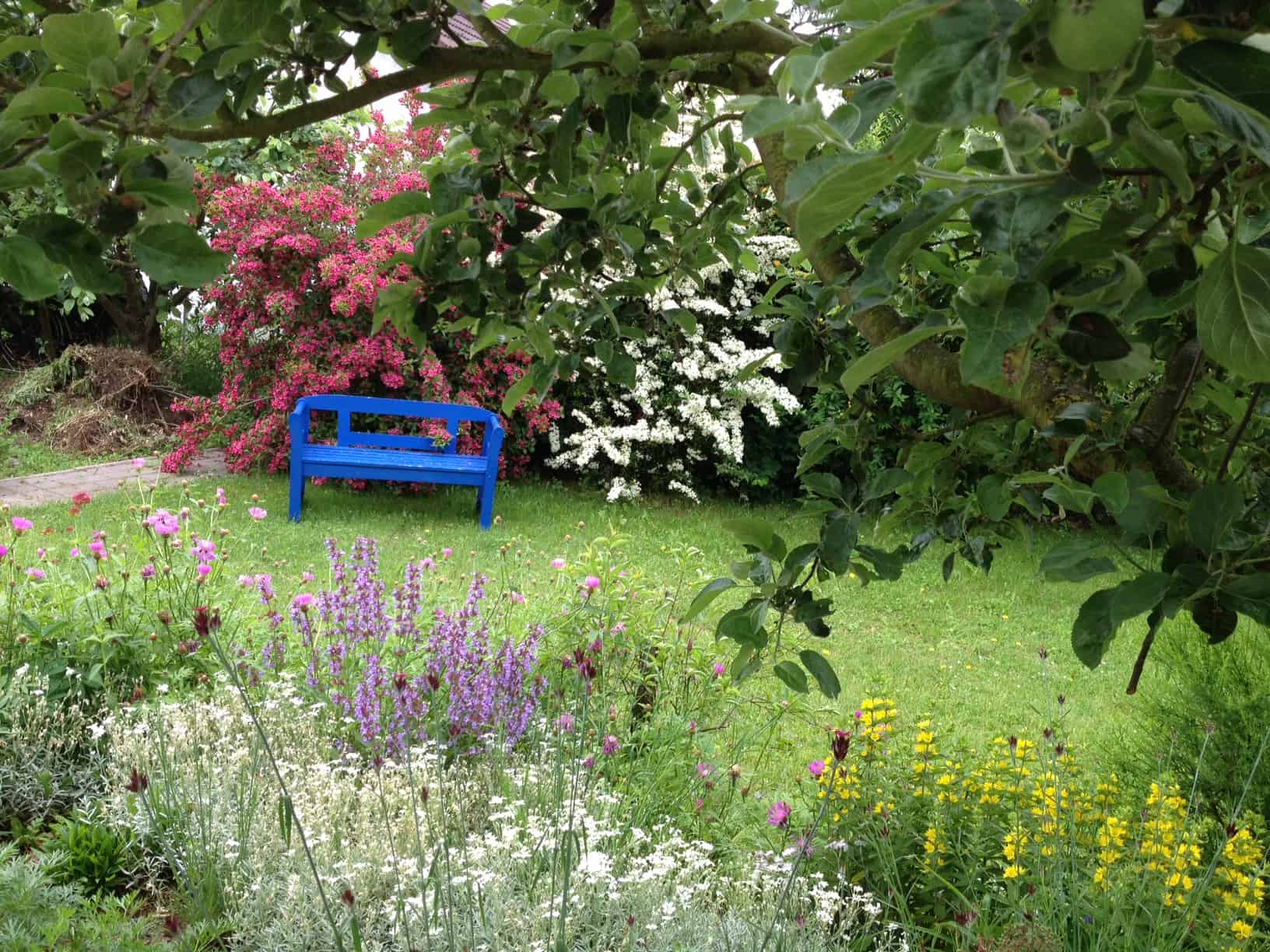 Garten mit blauer Bank