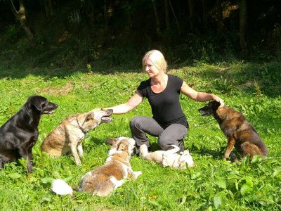 Birgit Astor Hundepension Tiergarten, Engeln