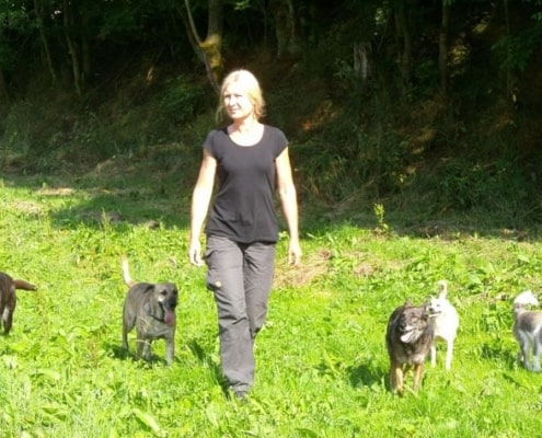 Birgit Astor Hundepension Tiergarten Engeln, Virneburg