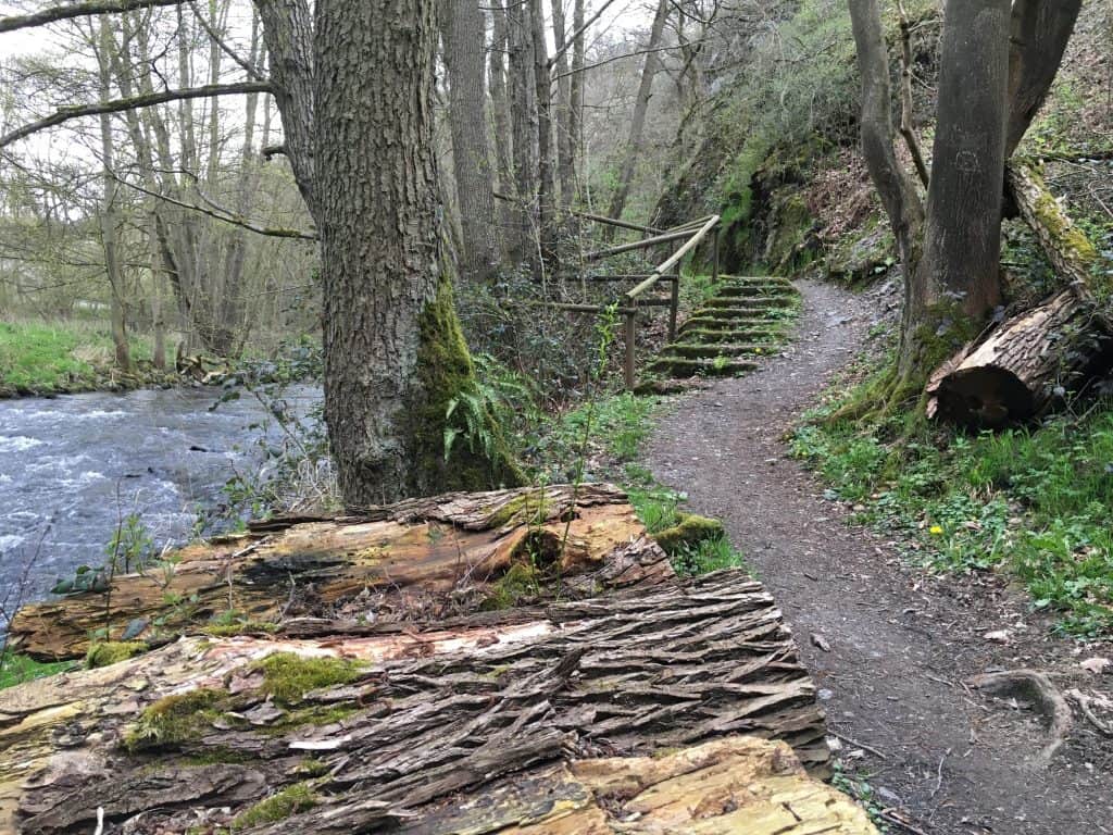 Traumpfad Nette-Schieferpfad Richtung Welling