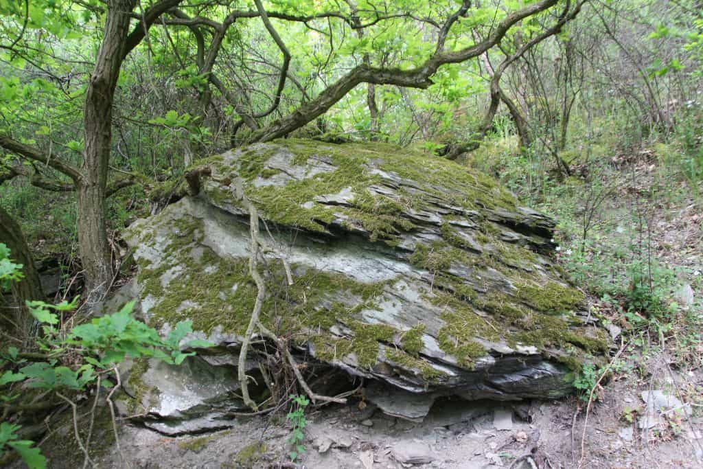 Großer Schieferbrocken auf dem Nette-Schieferpfad