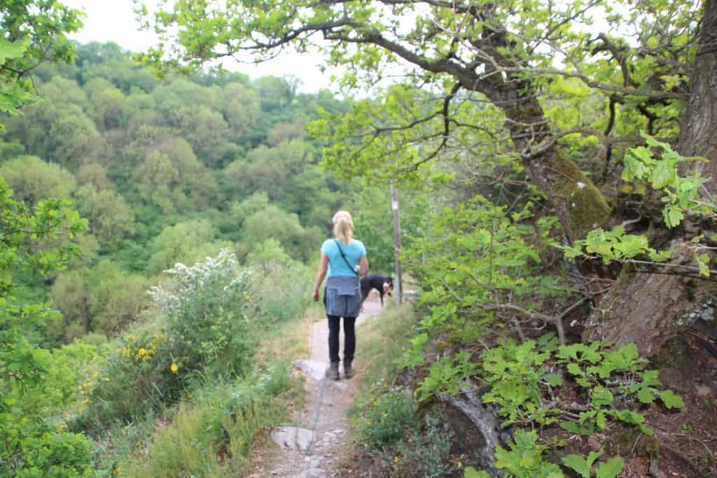 Frau mit Hund auf dem Traumpfad Nette-Schieferpfad