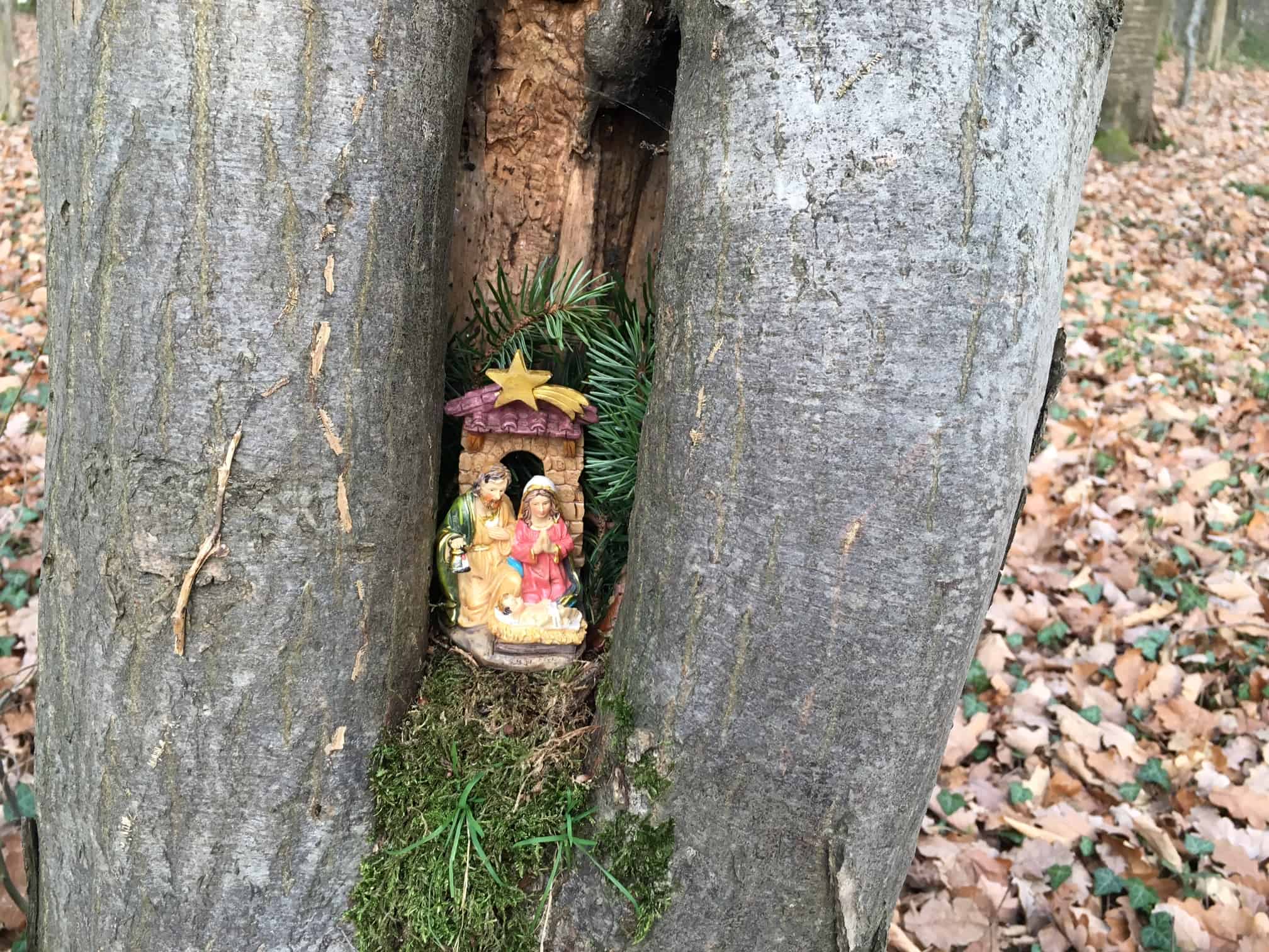Krippenweg Kell Kleine Weihnachtskrippe zwischen Bäumen