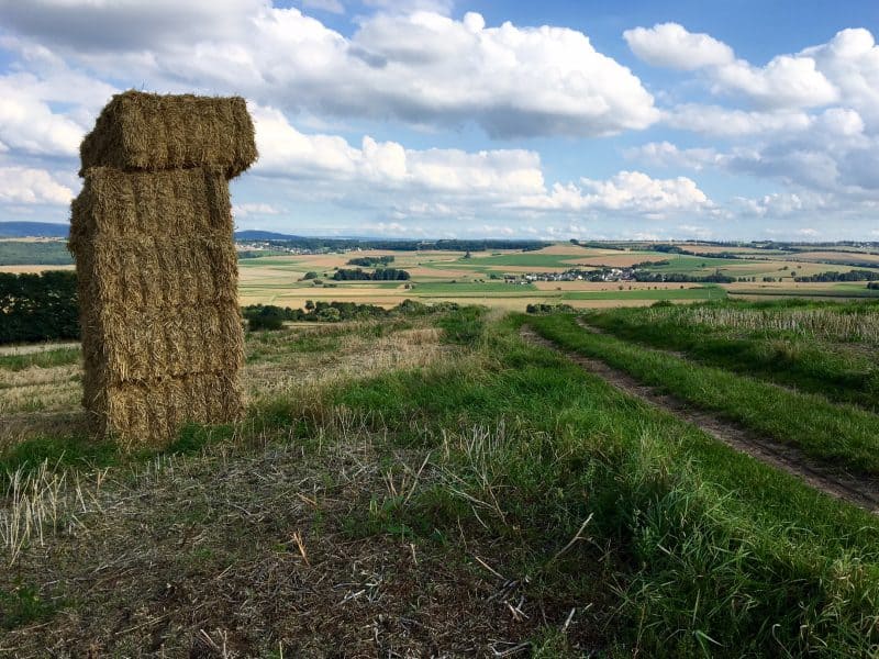 Paradiesweg-Polch-Kaan-nach-der-Getreideernte.jpg