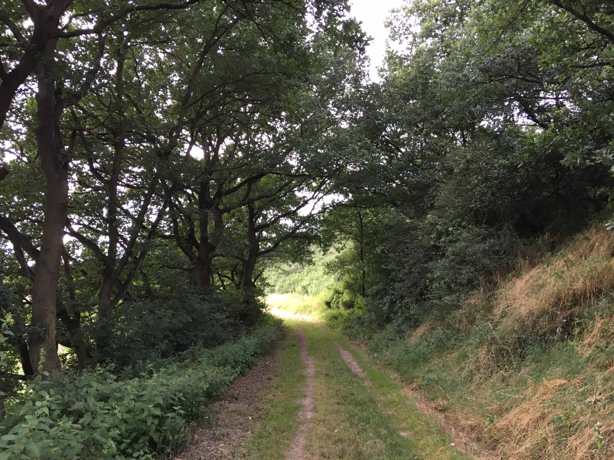 Paradiesweg Polch-Kaan, Tunnelblick