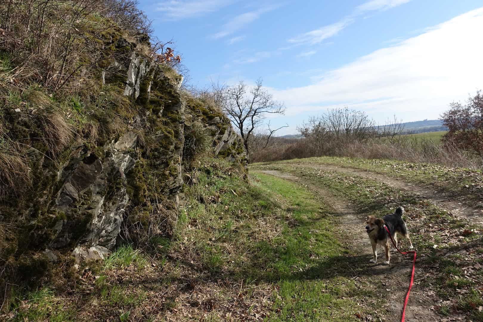 Schieferfelsen auf dem Traumpfädchen Paradiesweg