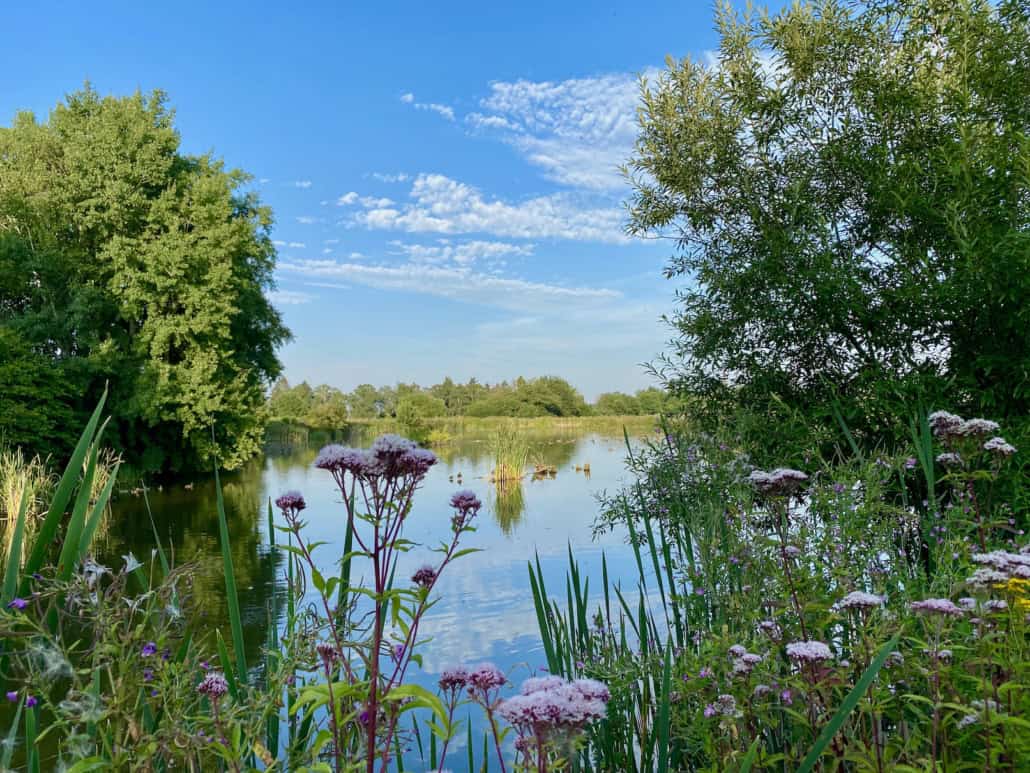 Naturschutzgebiet Thürer Wiesen