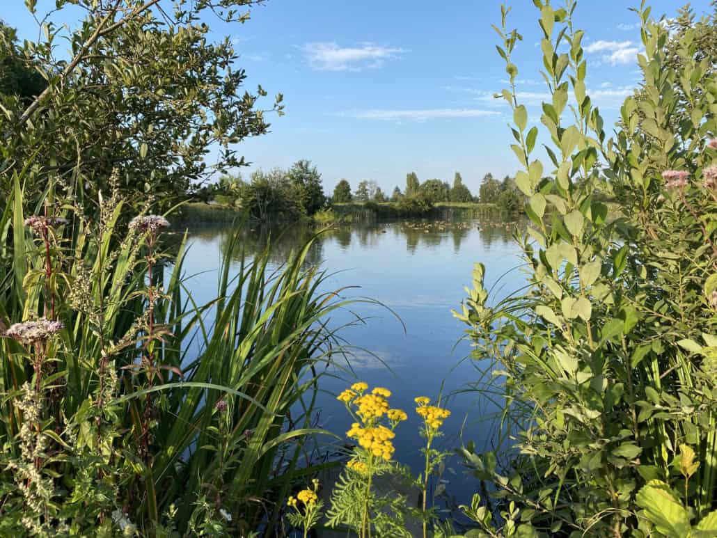 Naturschutzgebiet Thürer Wiesen