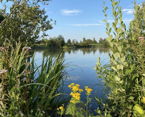 Naturschutzgebiet Thürer Wiesen