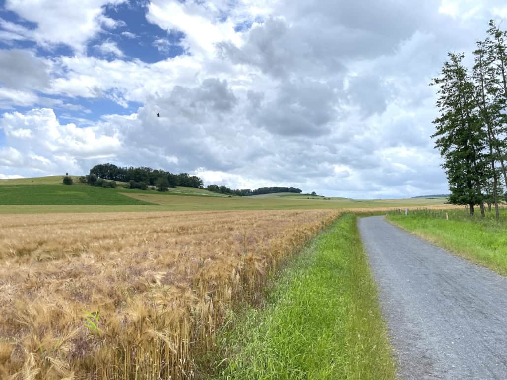 Naturschutzgebiet Thürer Wiesen