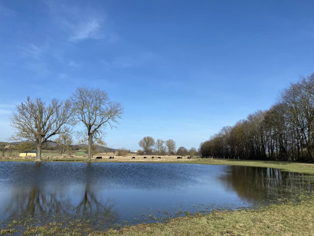 Naturschutzgebiet Thürer Wiesen