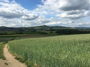 Thürer Wiesen Mendig, Vulkanblick