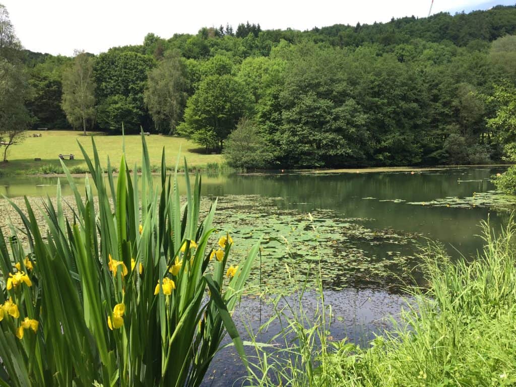 Riedener Waldsee