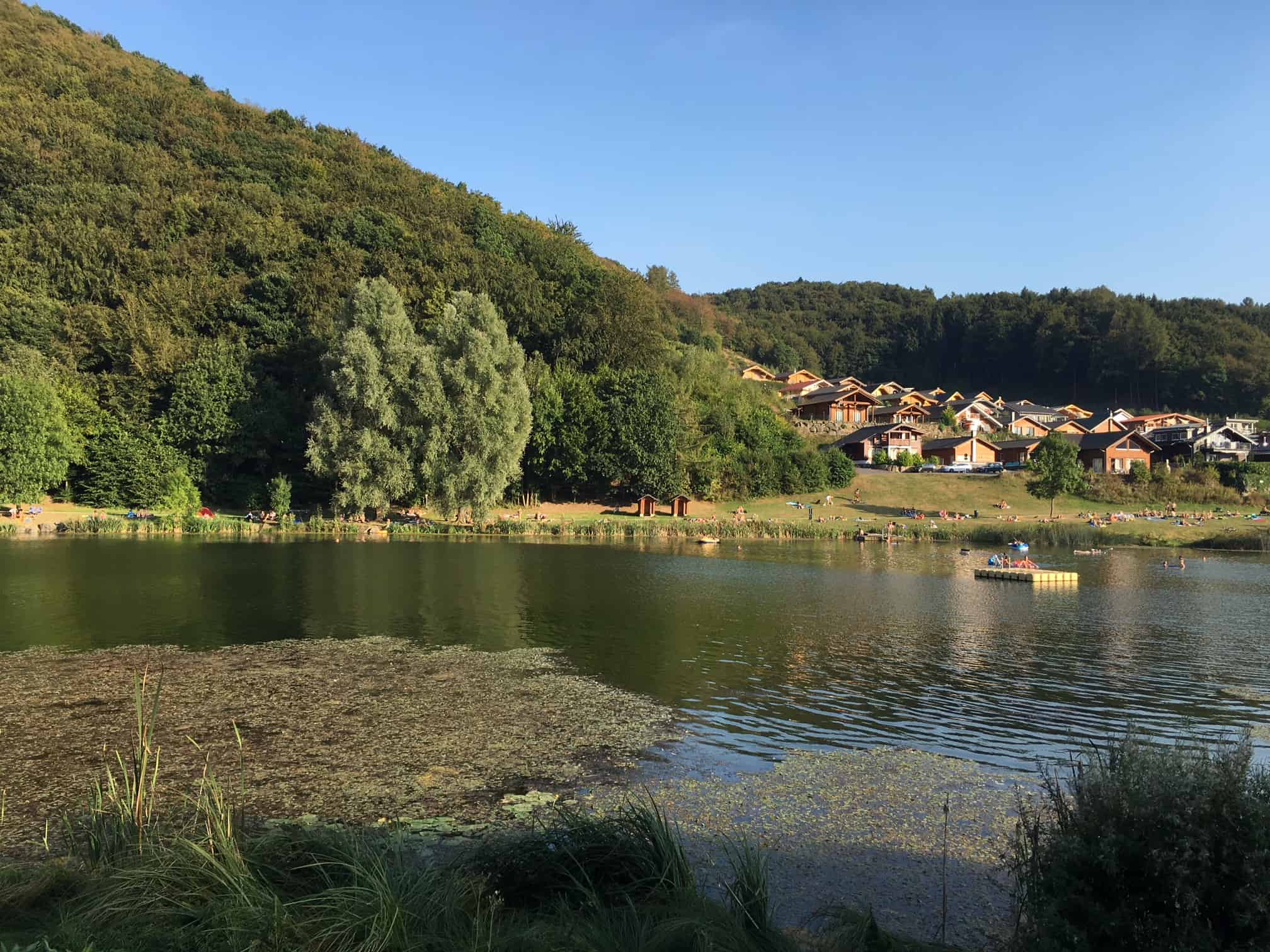 Riedener Waldsee im Sommer Riedener Waldsee
