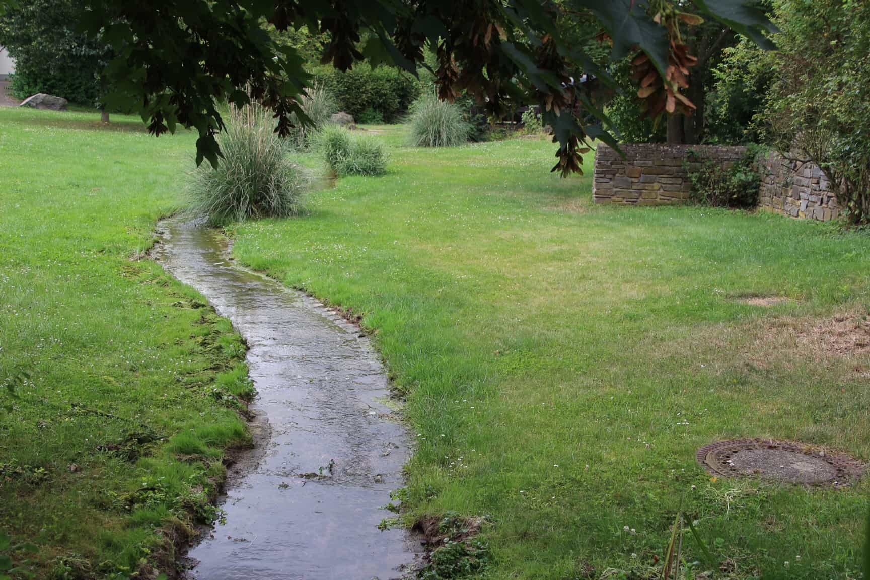 Magische Orte in der Eifel - Heilkräutergarten in Münstermaifeld, Heilkräutergarten Münstermaifeld