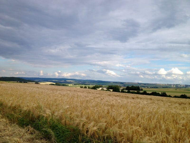 Rüber auf dem Maifeld