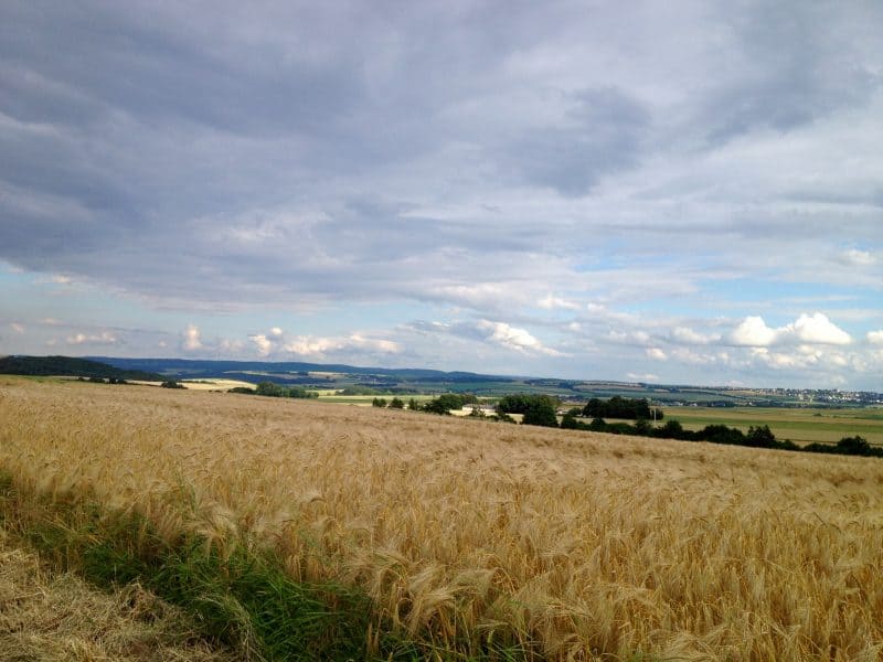 Rüber auf dem Maifeld