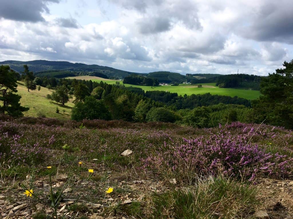 Bergheidenweg Eifel