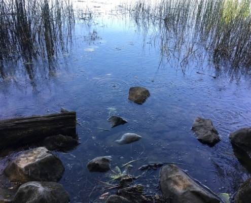 Mofetten am Laacher See