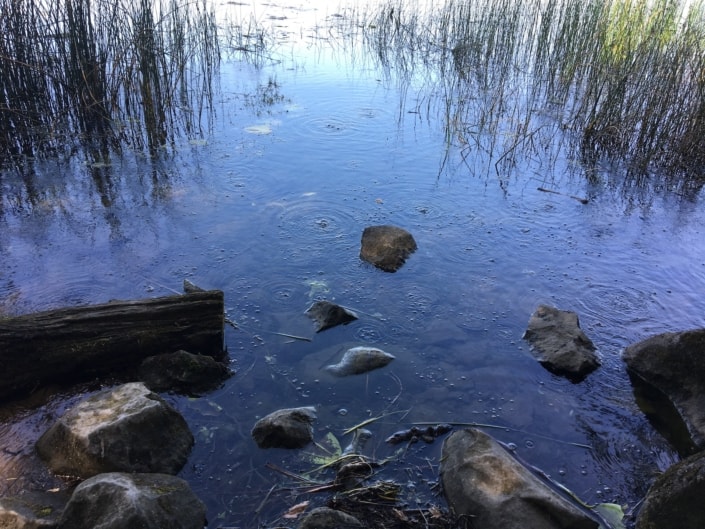 Mofetten am Laacher See