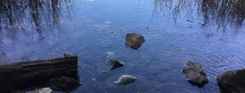 Mofetten am Laacher See