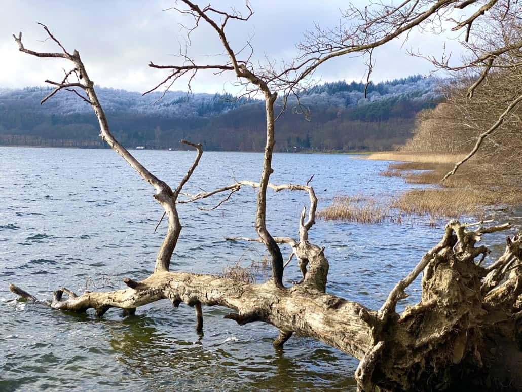 Laacher See, Mofetten