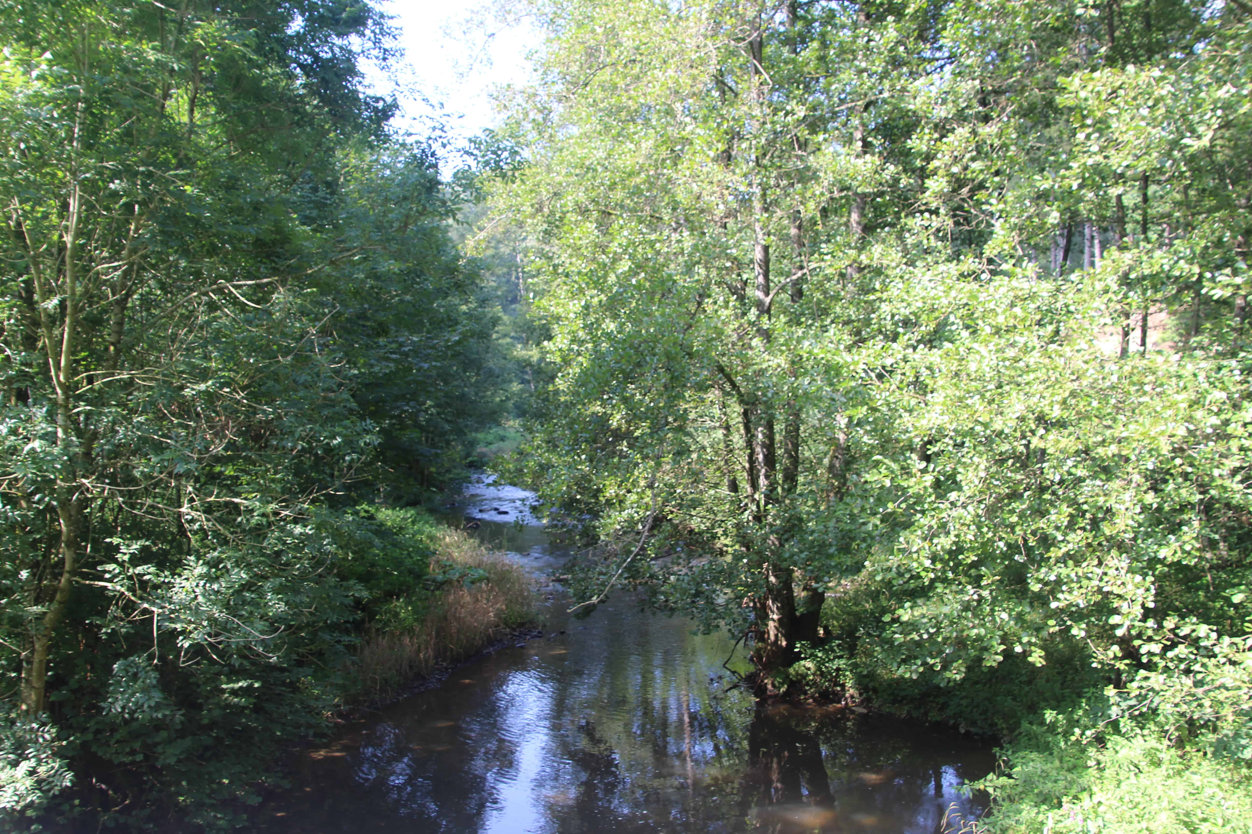 Flusslandschaft der Lieser, Wandern auf dem Lieserpfad