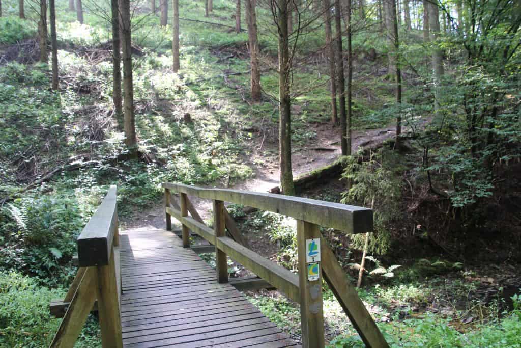 Holzbrücke im Wald, Wandern auf dem Lieserpfad