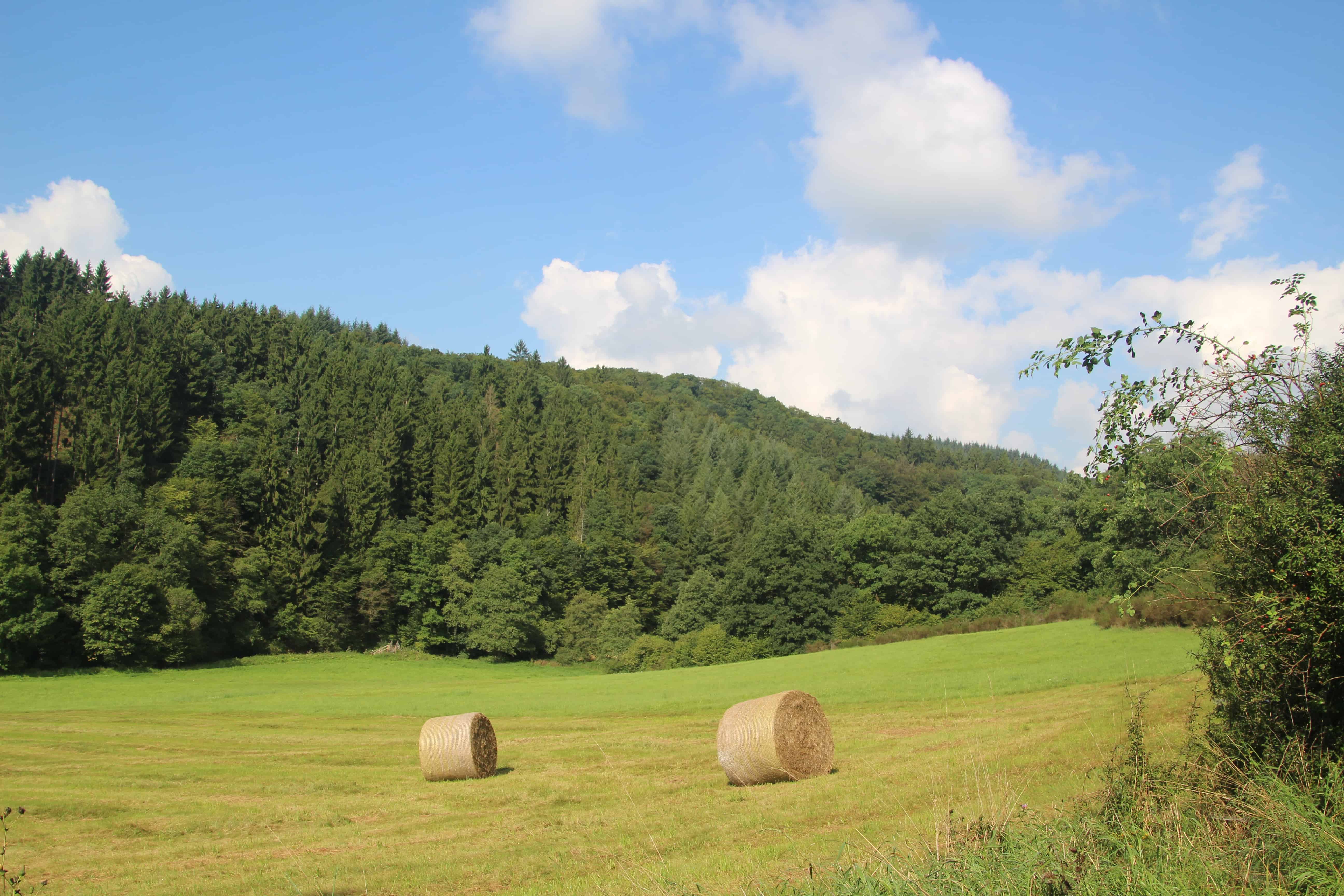 Wandern auf dem Lieserpfad, Wiese und Strohballen