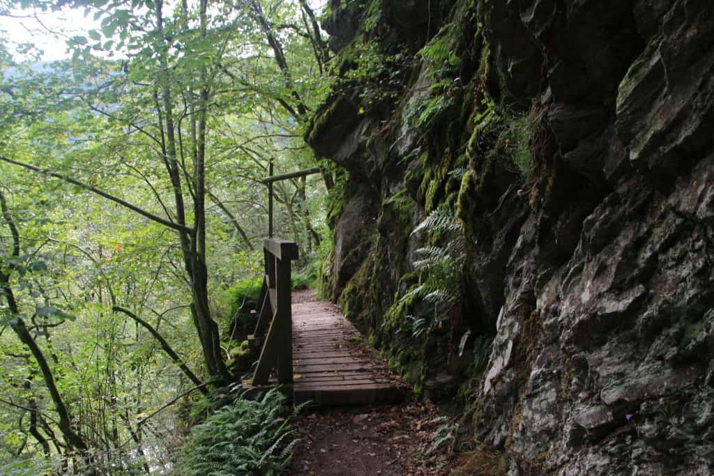 Wandern auf dem Lieserpfad 3. Etappe, Steig mit Farn und Moos