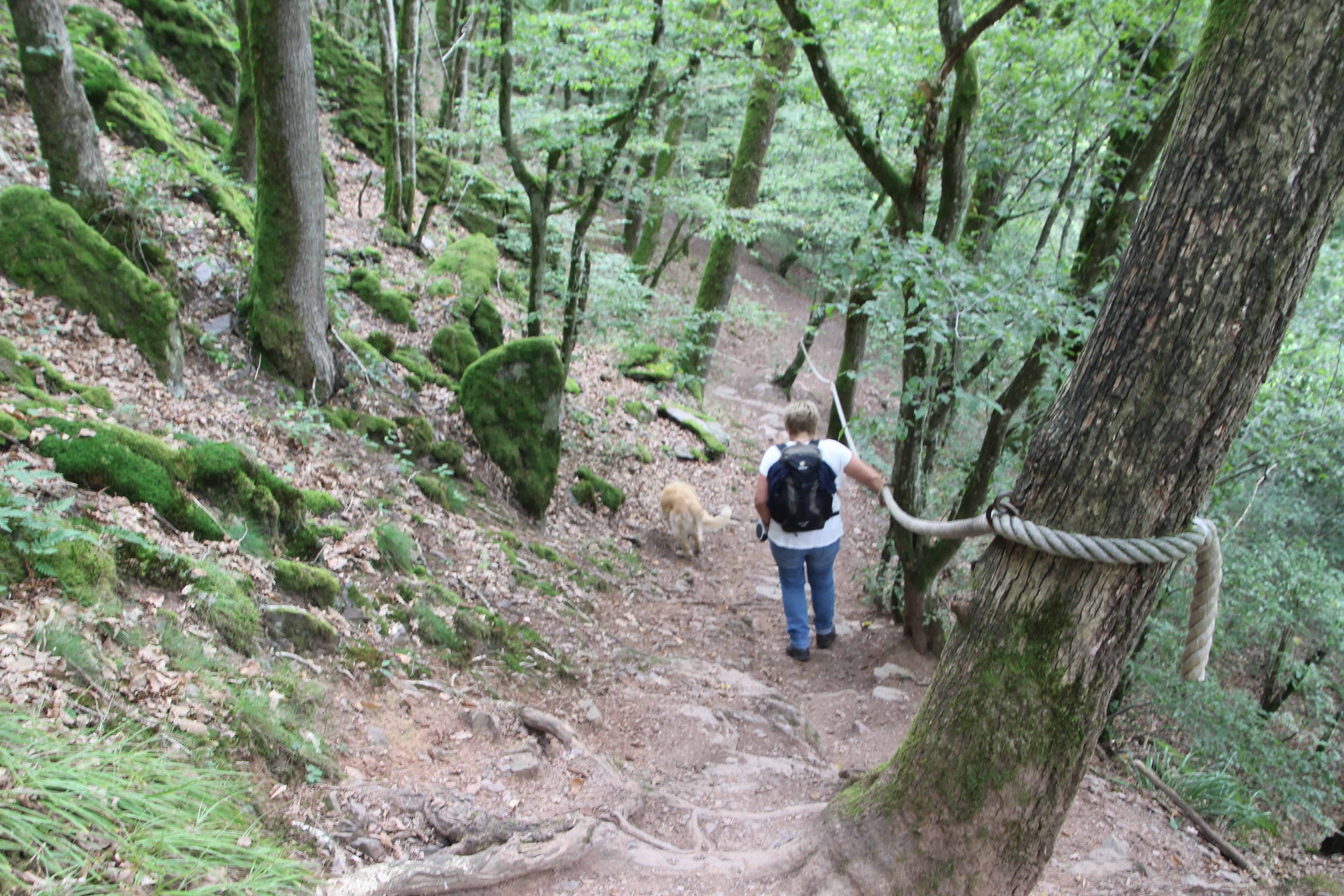 Lieserpfad