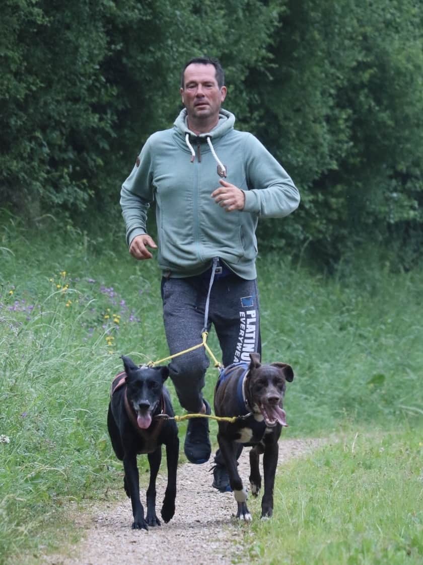 Zughundesport in der Eifel