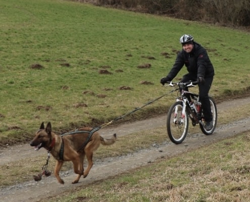 Zughundesport in der Eifel