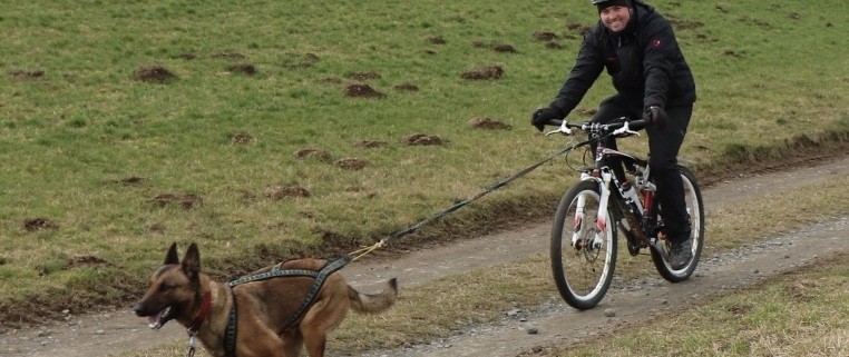 Zughundesport in der Eifel