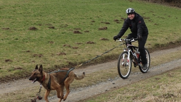 Zughundesport in der Eifel