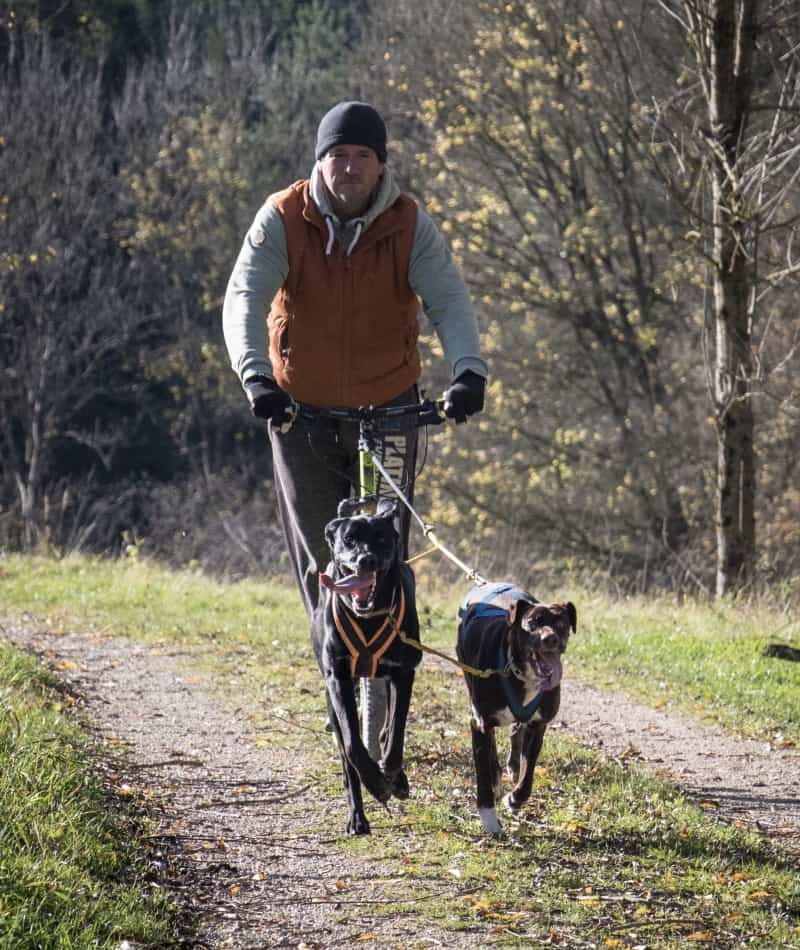 Markus Behr, Skooter mit Zughunden