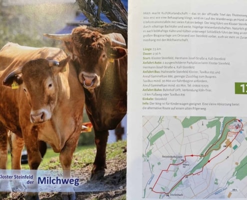 20 Sonntagsspaziergänge in der Nordeifel, zwei Kühe