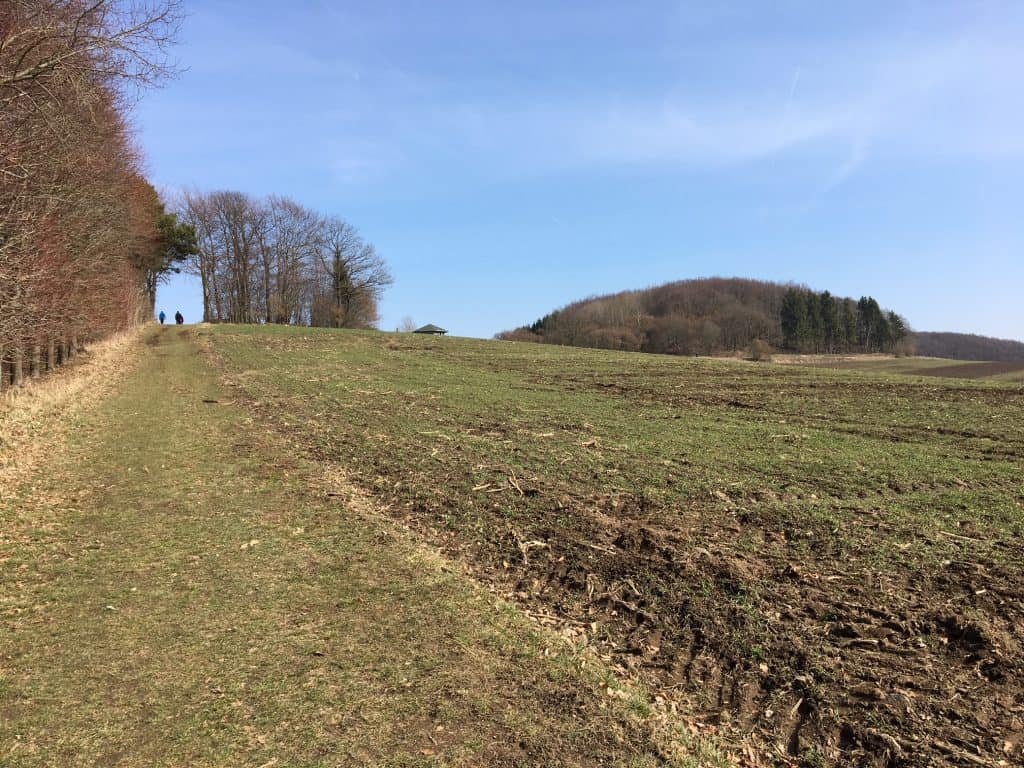 Traumpfädchen Riedener Seeblick