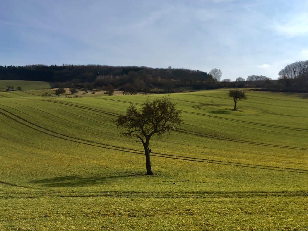 Traumpfädchen Riedener Seeblick