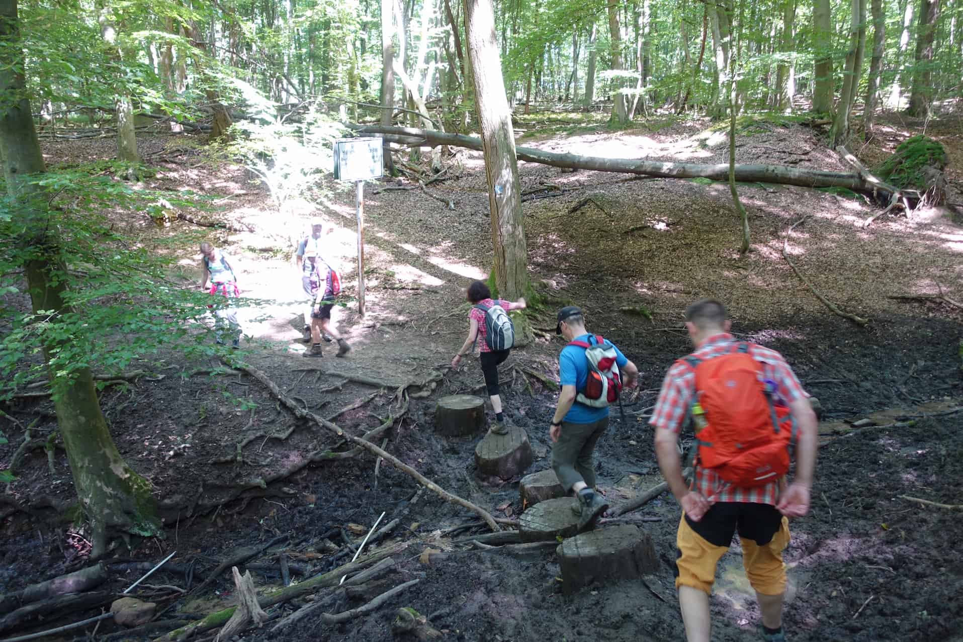 Gemeinsam wandern mit dem Eifelfan