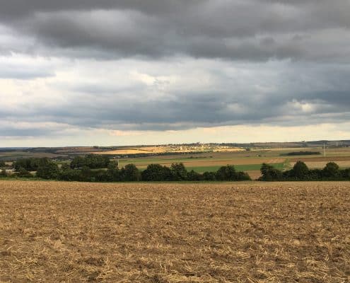 Blick auf das Maifeld bei Polch