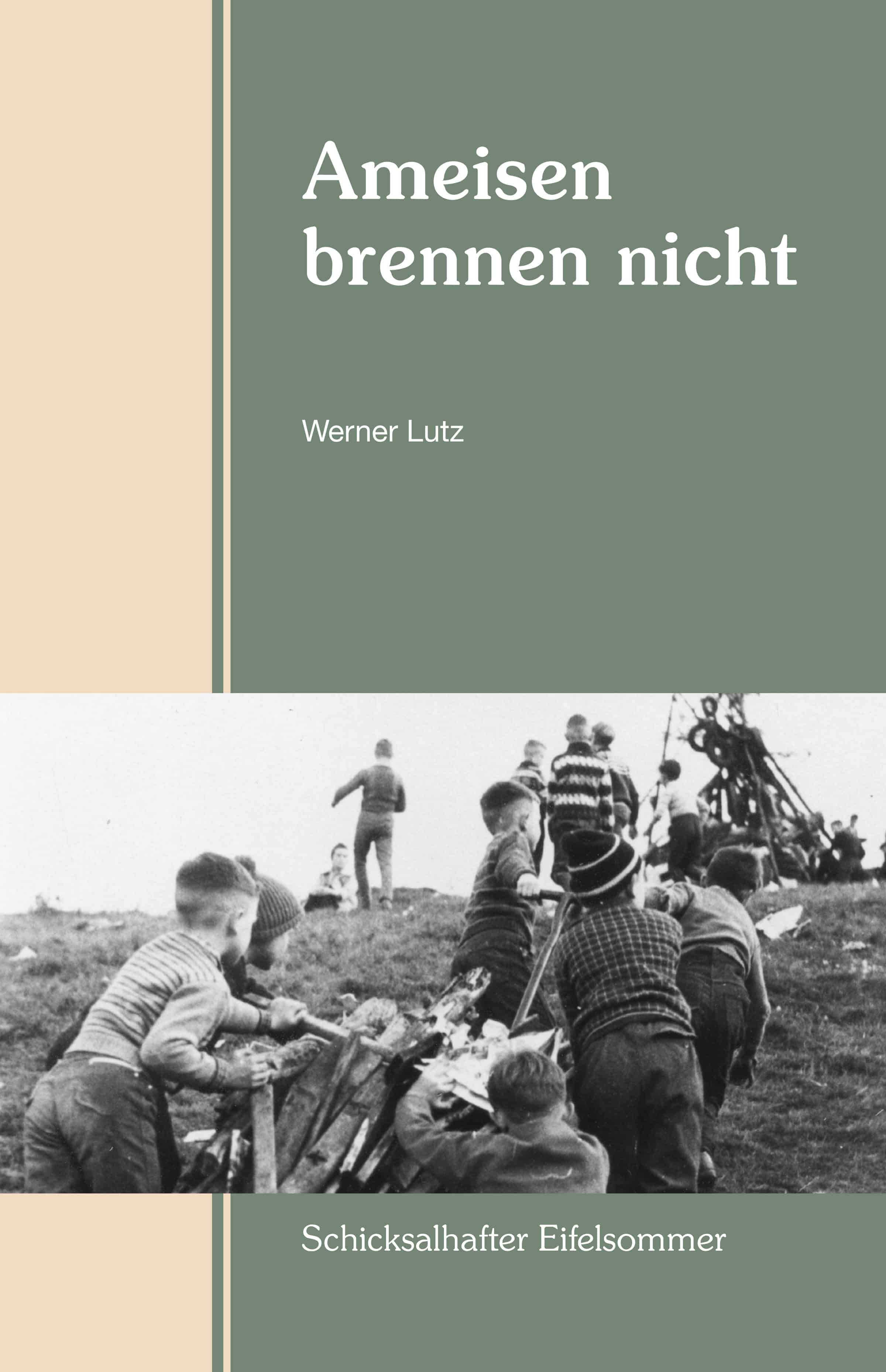 Hervorragender Eifelroman-Ameisen brennen nicht, Cover