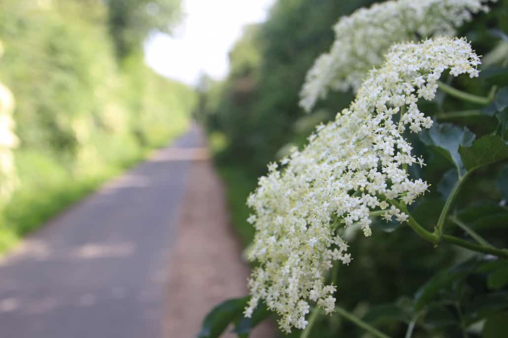 Der Maifeld-Radweg - Landschaft aktiv erleben,Maifeld-Radweg