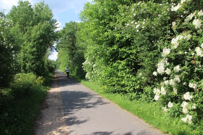 Maifeld-Radweg, Joggen Maifeld-Radweg