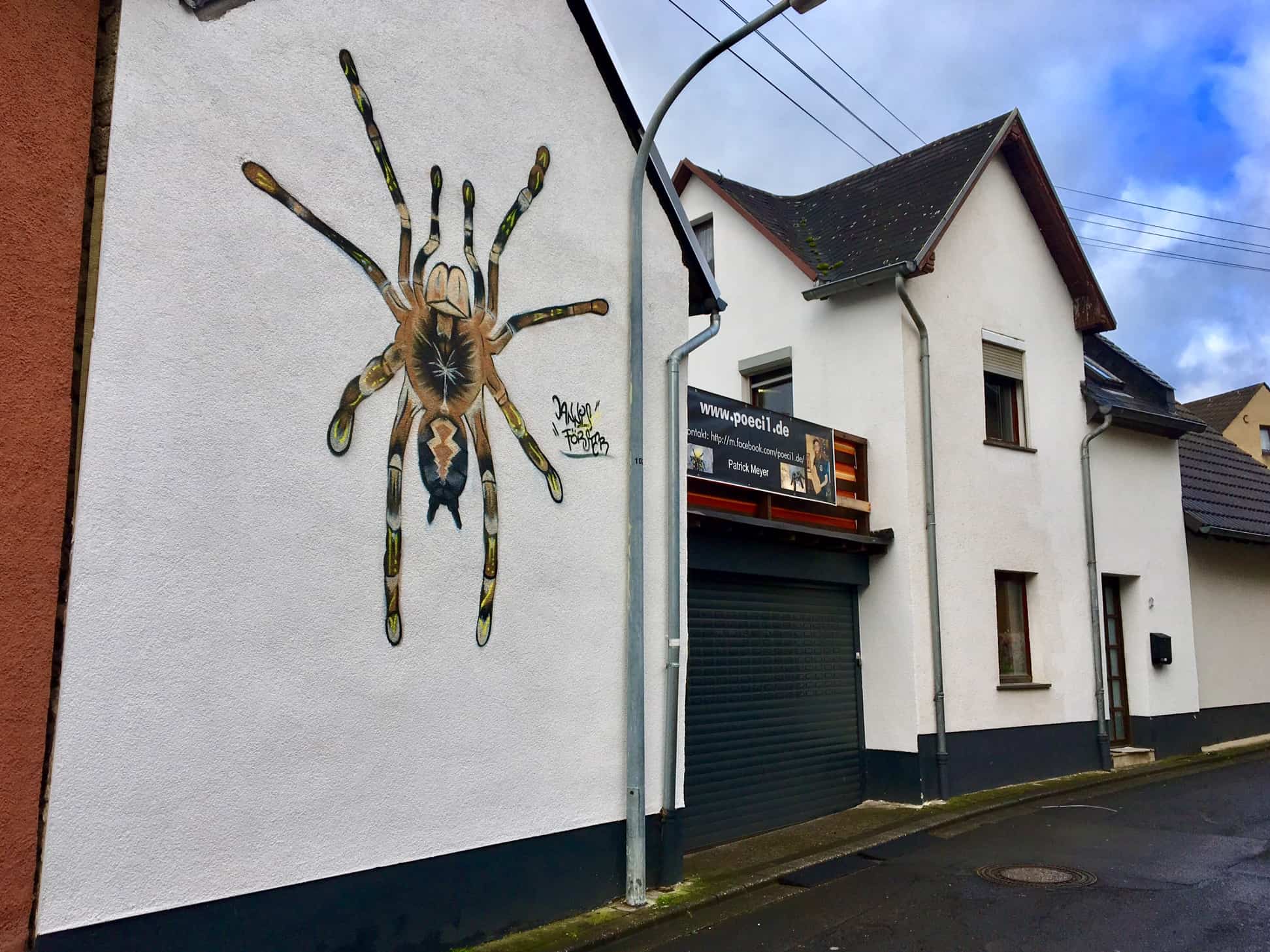 Das wildeste Haus der Eifel -Reptilienauffangstation in Polch