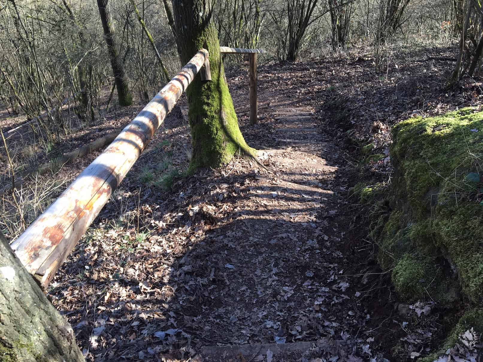 Traumpfad Vulkanpfad, Waldweg