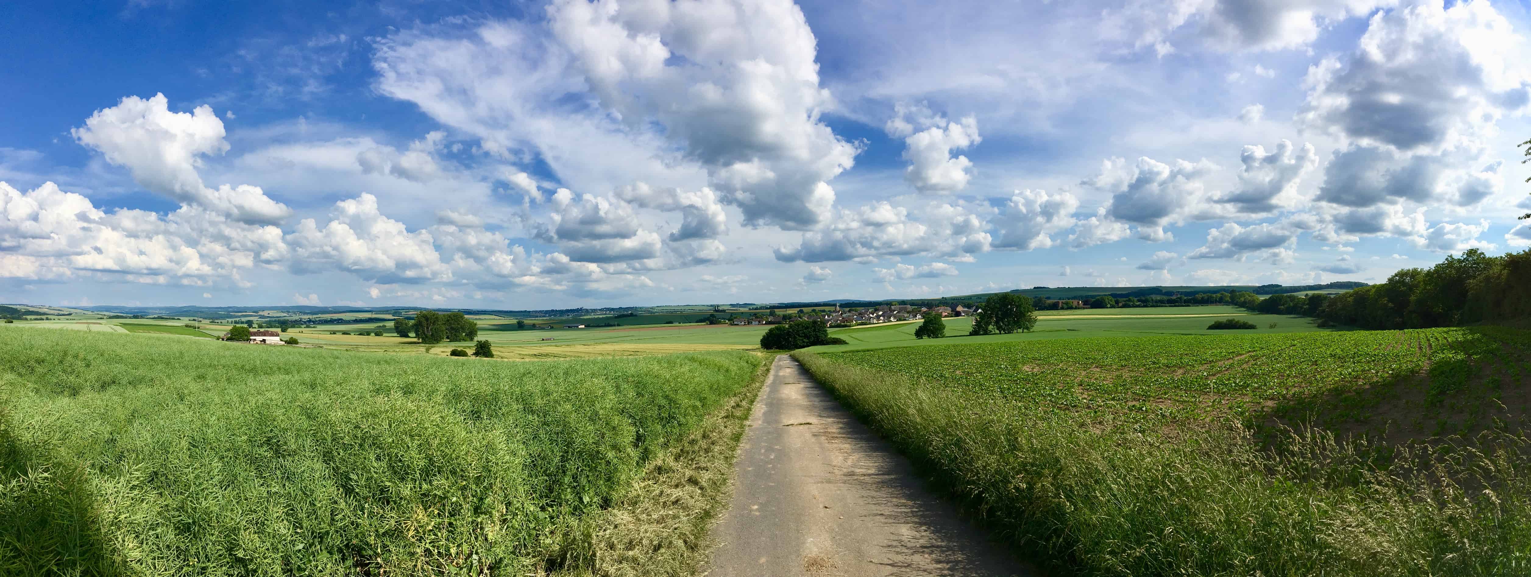Maifeld-Radweg Blick auf Mertloch Panorama